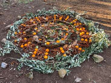 Uma linda mandala criada no chão com folhas, laranjas, galhos, flores, ramos de oliveira e pedras dispostos em padrões circulares, simétricos e naturais.