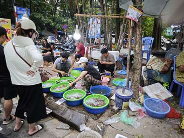 People are gathered around colorful plastic baskets filled with live seafood at an outdoor street market. Some are inspecting seafood while others observe, creating a lively atmosphere.