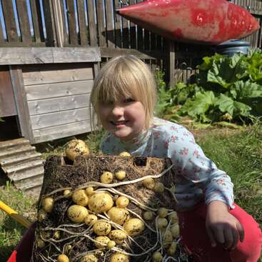 A young girl smiles in a garden, kneeling beside a red wheelbarrow filled with freshly harvested potatoes, roots, and soil, under a sunny blue sky.