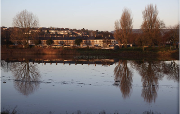 Un lac tranquille reflète de grands arbres dépourvus de feuilles et des maisons baignées d'une lumière dorée. À l'arrière-plan, des collines et d'autres maisons complètent ce paisible paysage suburbain.