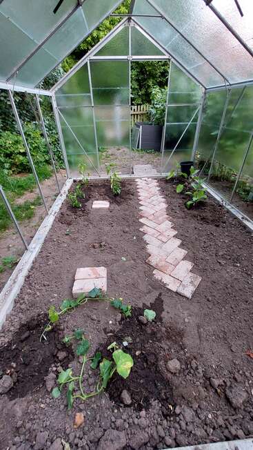 À l'intérieur d'une serre, de jeunes plantes poussent dans des lits de terre à côté d'un chemin de briques en zigzag. La lumière naturelle filtre à travers des panneaux de verre, créant ainsi un environnement de jardinage stimulant.