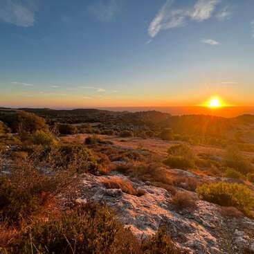 La imagen capta una impresionante puesta de sol sobre un paisaje escarpado y rocoso con arbustos y árboles dispersos, la cálida luz del sol proyecta tonos dorados sobre la escena natural.