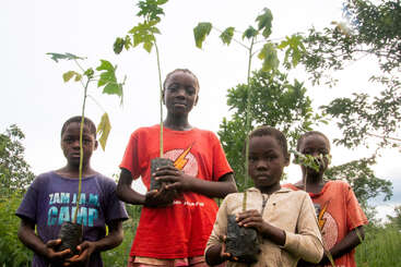 Cuatro niños están al aire libre con pequeños plantones en bolsas de plástico negras. Se les ve serios y decididos, participando en una actividad de plantación de árboles rodeados de una exuberante vegetación.