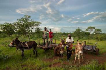 Tres personas y dos burros se encuentran en un prado verde junto a unas carretas. El cielo está parcialmente nublado y los árboles rodean este paisaje rural y tranquilo.