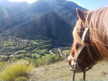 Ein braunes Pferd mit Zaumzeug steht auf einem grasbewachsenen Hügel und blickt auf ein üppig grünes Tal, einen Fluss und ferne Berge, die in Sonnenlicht getaucht sind.