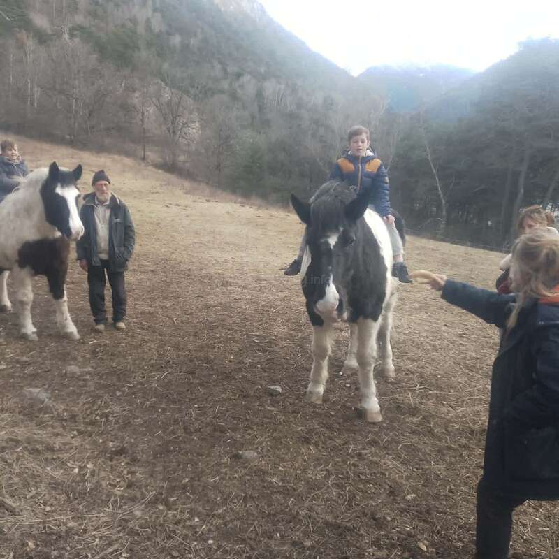 Kinder und Erwachsene sind mit zwei Pferden draußen. Ein Kind reitet auf einem Pferd, während die anderen zuschauen und mit ihm spielen. Im Hintergrund sieht man Bäume und Berge.