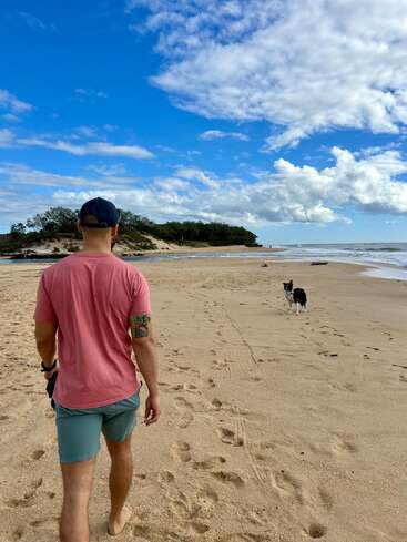 A man in a pink shirt and shorts walks barefoot on a sandy beach toward a black and white dog, under a bright blue sky with clouds.