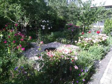 Ein üppiger Garten voller blühender rosa, roter und weißer Blumen umgibt einen Schotterweg. Hohes Laub, Bäume und Grün schaffen eine friedliche, lebendige Szene.