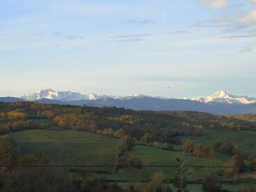 Rolling green hills stretch across the foreground, leading to forests in autumn colors. In the distance, majestic snow-capped mountains rise under a vast, pale sky.
