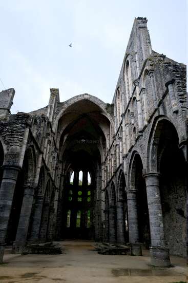 Dieses Bild zeigt das Innere einer verfallenen Abtei oder Kirche mit hohen Bögen, Säulen, gewölbten Decken und einem offenen Himmel darüber, der an historische Größe erinnert.