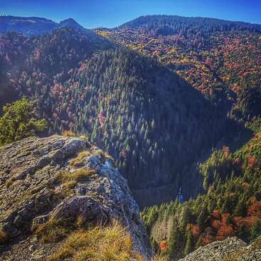 Una impresionante vista de montaña, con densos bosques de hoja perenne, árboles de color otoñal y acantilados rocosos bajo un cielo azul despejado, que muestra la vibrante belleza del paisaje natural.