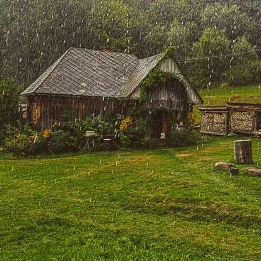 Una rústica cabaña de madera se asienta en medio de una exuberante vegetación bajo una intensa lluvia. Las flores florecen junto a la casa, mientras que la leña apilada y los tocones de los árboles completan la serena escena.