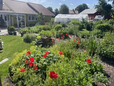 A lush garden filled with vibrant red flowers, greenery, and vegetable beds. There’s a house, greenhouse, and sunny sky, creating a peaceful rural atmosphere.
