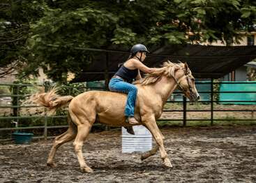 Eine Frau mit Helm reitet auf einem galoppierenden fuchsfarbenen Pferd in einem Reitplatz im Freien, umgeben von Bäumen, Zäunen und schattenspendenden Überdachungen, und zeigt dabei Geschicklichkeit und Energie.