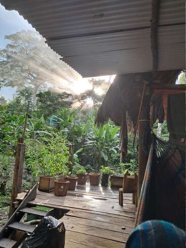 Le matin, la lumière du soleil traverse les arbres pour atteindre un porche rustique en bois, agrémenté de plantes en pot, d'un hamac, d'une végétation luxuriante et d'articles ménagers simples, créant ainsi une retraite sereine dans la jungle.