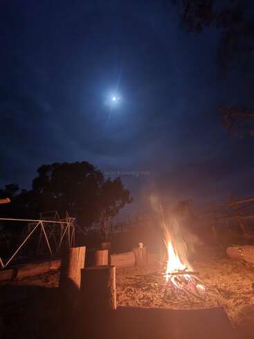 Uma fogueira aconchegante queima sob uma lua cheia brilhante. Troncos de madeira servem como assentos. Silhuetas de árvores e estruturas rústicas emolduram a cena noturna tranquila ao ar livre.