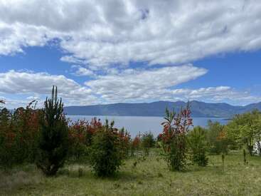 A serene lakeside landscape with grassy fields, small trees bearing red flowers, distant mountains, and a partly cloudy sky, creating a peaceful and natural atmosphere.