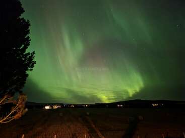 A aurora boreal verde cintila no céu noturno sobre um campo tranquilo, com casas distantes brilhando. A silhueta escura de uma árvore se destaca à esquerda, criando um contraste.