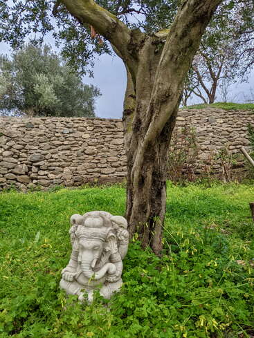 Das Bild zeigt eine ruhige Szene mit einer steinernen Ganesha-Statue, die in üppigem Grün unter einem Baum steht, mit einer rustikalen Steinmauer als Kulisse.