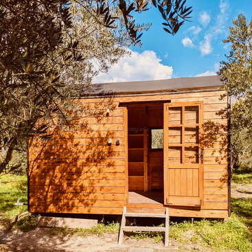 Das Bild zeigt eine kleine Holzhütte mit offener Tür, die auf einer von Bäumen umgebenen Wiese steht, mit einem blauen Himmel und weißen Wolken im Hintergrund.