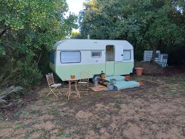Ein Oldtimer-Wohnwagen steht in einem Waldstück, umgeben von viel Grün. Davor sorgen ein kleiner Tisch, Stühle und Topfpflanzen für eine gemütliche Atmosphäre im Freien.