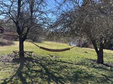 Hay una hamaca colgada entre dos árboles sin hojas en un jardín soleado y cubierto de césped. Las sombras se alargan por el césped. Cerca hay un banco de madera y un pequeño cobertizo.