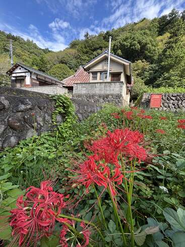 Uma cena campestre com duas casas tradicionais, lírios-aranha vermelhos vibrantes em primeiro plano, folhagem verde exuberante, paredes de pedra e um céu azul brilhante no alto.