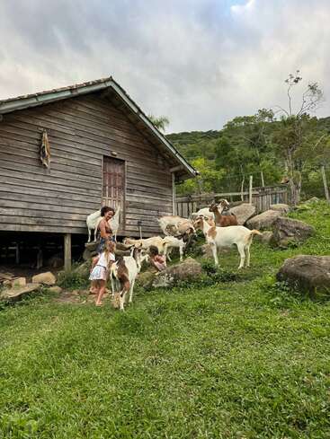 Tres niños juegan con varias cabras frente a una rústica cabaña de madera rodeada de exuberante vegetación, rocas y árboles, bajo un cielo nublado y sereno.