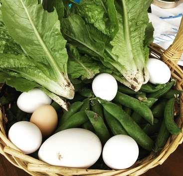 L'image représente un panier en osier contenant une variété de produits frais, dont des légumes verts, des pois et des œufs, disposés sur une table en bois foncé.