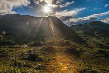 A imagem retrata uma paisagem serena com um campo gramado e um corpo d'água, com uma árvore proeminente no centro, cercada por um cenário natural com um céu claro.