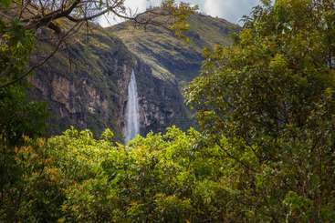 A imagem retrata uma paisagem serena com uma cachoeira majestosa, cercada por uma vegetação exuberante, com uma linha de árvores proeminente ao fundo, evocando uma sensação de beleza natural e tranquilidade.