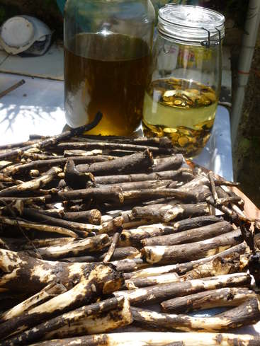 La imagen muestra una colección de palos sobre una mesa, acompañados de dos tarros de cristal que contienen un líquido amarillo y pequeños trozos de material vegetal.