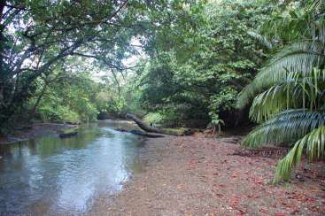 The image depicts a serene riverbank scene, featuring a tranquil river, lush greenery, and a dirt path, evoking a sense of natural beauty and peacefulness.