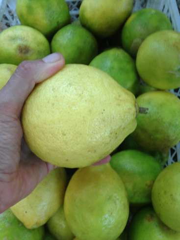 The image depicts a hand holding a large yellow lemon above a basket of green limes, with the lemons and limes filling the entire frame.