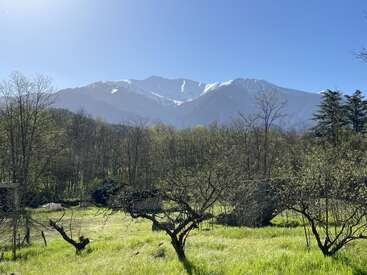 Eine friedliche Landschaft mit saftig grünem Gras, kahlen Bäumen, einem dichten Wald und majestätischen schneebedeckten Bergen unter einem strahlend blauen Himmel an einem sonnigen Tag.