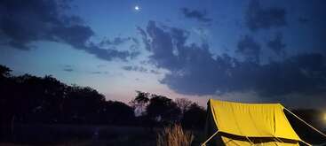 Ein leuchtend gelbes Zelt steht unter einem dämmrigen Himmel, umgeben von schemenhaften Bäumen. Der Mond scheint über dem Zelt, beleuchtet die Wolken und sorgt für eine friedliche, ruhige Atmosphäre auf dem Campingplatz.
