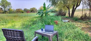 Ein Plastikstuhl und ein Tisch mit einem Laptop und einer Tasse sitzen draußen auf einer grünen, grasbewachsenen Wiese, umgeben von Bäumen und Pflanzen, und schaffen einen friedlichen Arbeitsbereich.