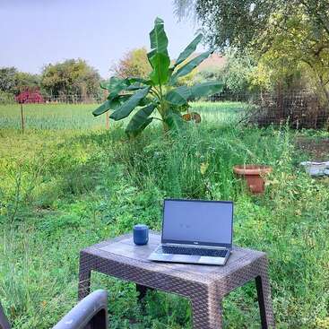 A plastic chair and table with a laptop and mug sit outdoors in a green, grassy field, surrounded by trees and plants, creating a peaceful workspace.