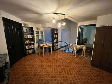 A cozy room with patterned tile flooring, modern ceiling lights, bookshelves, a small table, a wardrobe, and a spotted dog standing near an open doorway.