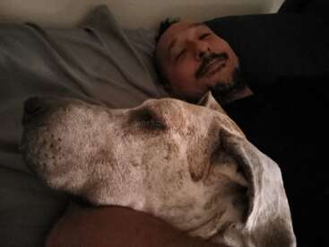 A man lies comfortably on a bed, smiling softly while cuddling a large, relaxed dog. The cozy atmosphere shows their close bond and peaceful moment together.