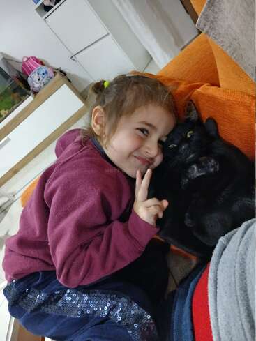 Ein kleines Mädchen kuschelt sich glücklich mit einer schwarzen Katze auf einem orangefarbenen Sofa, lächelt und macht ein Peace-Zeichen in einem gemütlichen, heimeligen Wohnzimmer.
