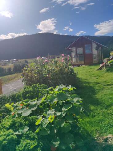 Uma pequena estufa fica em um jardim exuberante, cercada por flores vibrantes e plantas verdes, sob um céu azul brilhante e com montanhas arborizadas ao fundo.