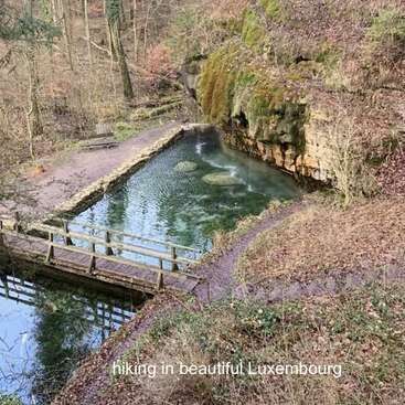 L'image représente un cadre naturel serein avec un petit étang, un pont en bois et un mur en pierre, entouré d'arbres et de feuillage, évoquant un sentiment de tranquillité.