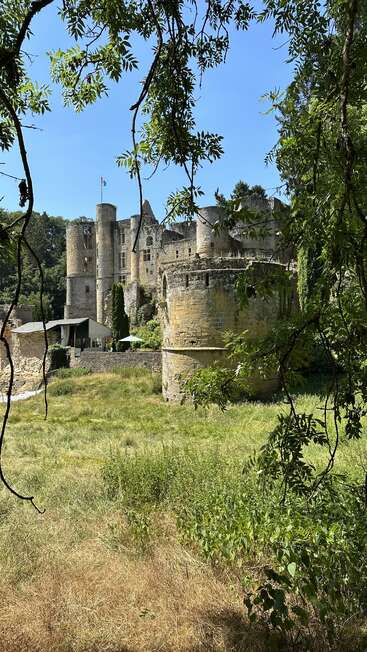 L'image représente un majestueux château de pierre avec des tours et des créneaux, situé au milieu d'un paysage verdoyant, entouré d'arbres et d'un ciel bleu clair.