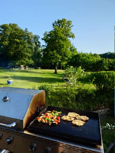 Une scène de barbecue dans un jardin, avec du poulet et des légumes colorés en train de cuire sur la grille, le tout entouré d'une pelouse verdoyante, d'arbres et d'un ciel bleu limpide.