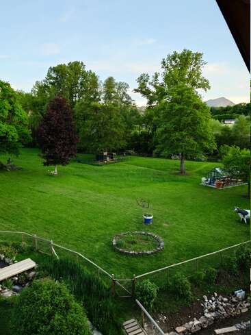 Un jardin arrière verdoyant et luxuriant, agrémenté d'arbres, d'un parterre circulaire bordé de pierres, d'un banc en bois, d'une serre et d'espaces clôturés, avec une montagne au loin sous un ciel bleu limpide.
