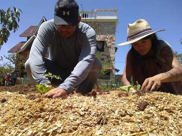 A man and woman are planting small plants in a garden bed, with a house and clear blue sky in the background on a sunny day.