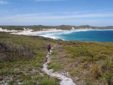 The image depicts a serene coastal landscape with a person walking on a grassy path towards the ocean, surrounded by lush vegetation and a clear blue sky.