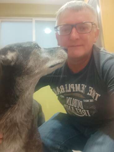 Un homme portant des lunettes sourit doucement à la caméra tandis qu'un chien gris se blottit affectueusement contre son visage. L'arrière-plan montre une fenêtre et un mur jaune.