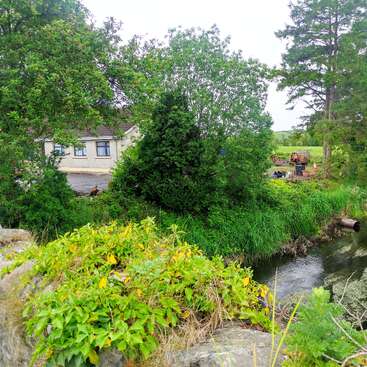 The image depicts a serene scene of a house nestled among lush trees and bushes, with a tranquil stream flowing in front of it on a cloudy day.
